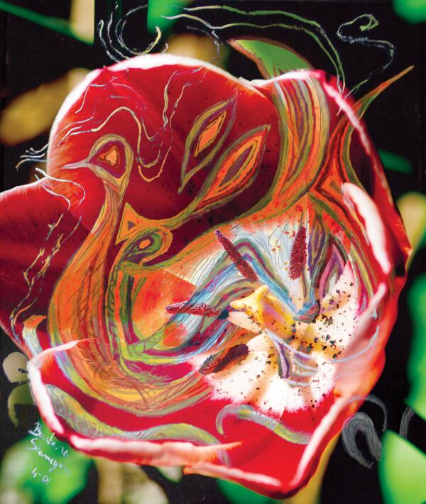 red tones abstract by BBS Art